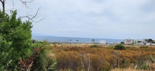 Οικόπεδο 1800τ.μ.