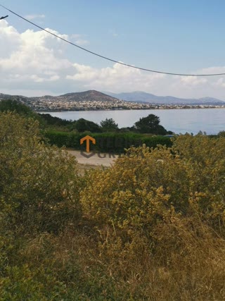 Οικόπεδο 900τ.μ.
