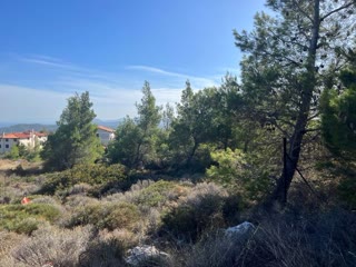 Οικόπεδο 1004 τ.μ.