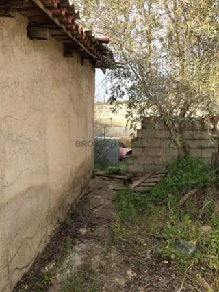 Οικόπεδο 754τ.μ.
