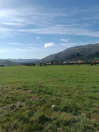 Αγροτεμάχιο 5810τ.μ.