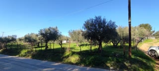 Οικόπεδο 6000 τ.μ.