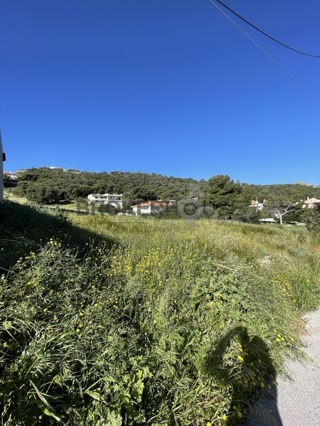 Οικόπεδο 605 τ.μ.