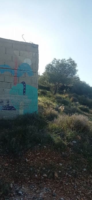 Αγροτεμάχιο 8723 τ.μ.