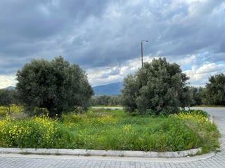 Οικόπεδο 2380 τ.μ.