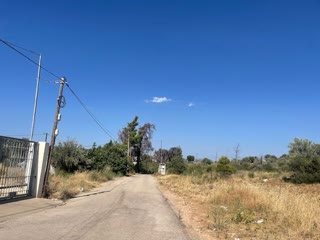 Αγροτεμάχιο 10000τ.μ.