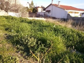 Οικόπεδο 288τ.μ.