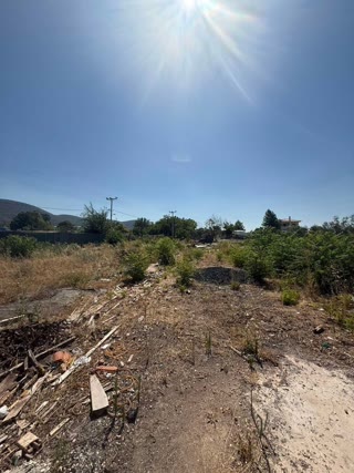 Οικόπεδο 1313 τ.μ.