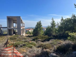 Οικόπεδο 1004 τ.μ.