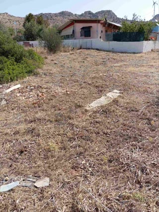 Αγροτεμάχιο 245τ.μ.