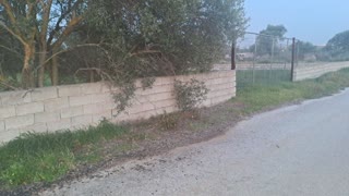Αγροτεμάχιο 2100τ.μ.