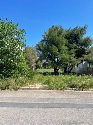Οικόπεδο 1000τ.μ.