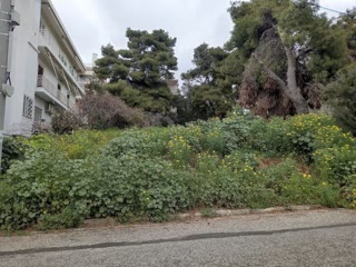 Οικόπεδο 761 τ.μ.