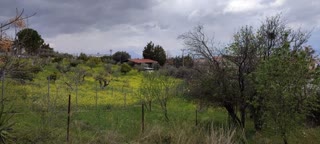 Οικόπεδο 395τ.μ.