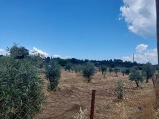 Οικόπεδο 5600 τ.μ.