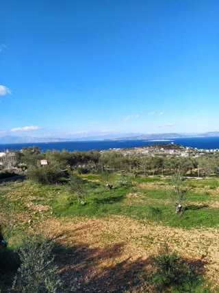600τ.μ. Οικόπεδο