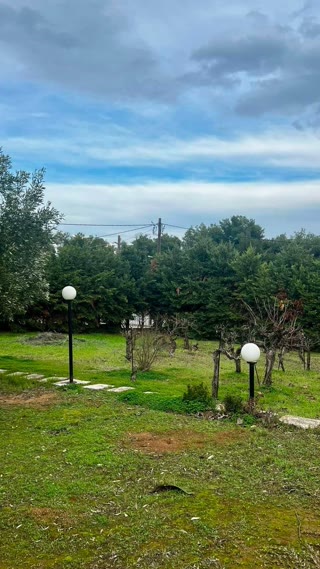 Οικόπεδο 1076 τ.μ.