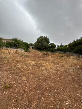 Οικόπεδο 288τ.μ.