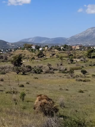 Οικόπεδο 340τ.μ.