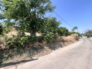 705 m² Plot