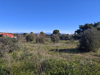 Αγροτεμάχιο 1234 τ.μ.