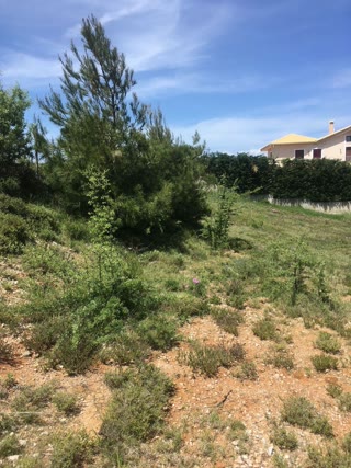 Αγροτεμάχιο 4500 τ.μ.