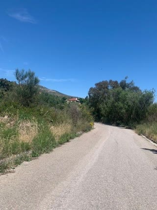 Οικόπεδο 1350τ.μ.