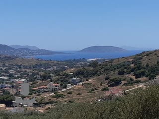 Οικόπεδο 10.000 τ.μ.
