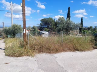 Οικόπεδο 227τ.μ.