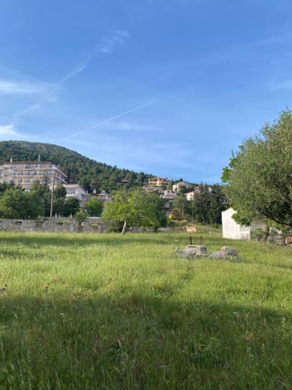 Αγροτεμάχιο 1627 τ.μ.