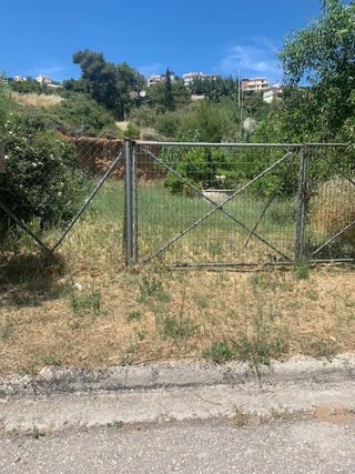 Οικόπεδο 1350τ.μ.