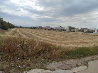 Αγροτεμάχιο 9500τ.μ.
