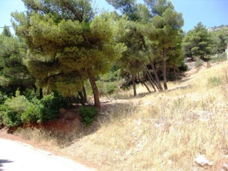 Οικόπεδο 1106 τ.μ.