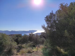 Οικόπεδο 516τ.μ.