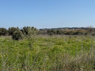 Αγροτεμάχιο 9700τ.μ.