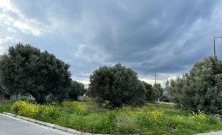 Οικόπεδο 2380 τ.μ.