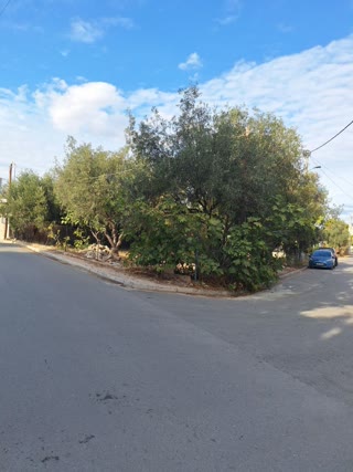 Οικόπεδο 270 τ.μ.