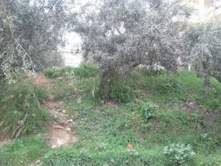 Οικόπεδο 268τ.μ.