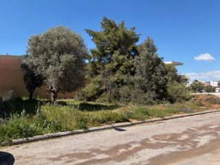 Οικόπεδο 491τ.μ.