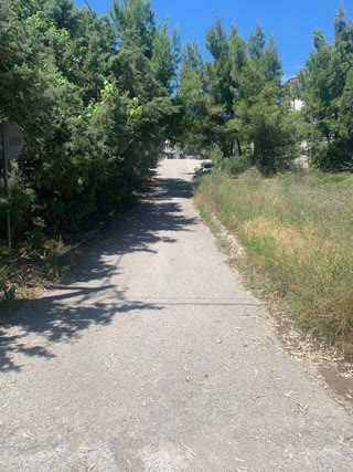 Οικόπεδο 1350τ.μ.