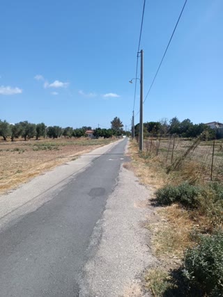 Οικόπεδο 1120 τ.μ.
