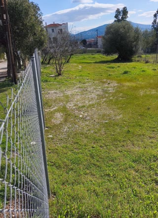 Οικόπεδο 230τ.μ.