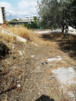 Οικόπεδο 1000 τ.μ.