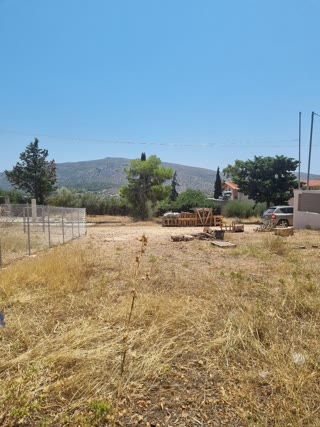 Οικόπεδο 240τ.μ.
