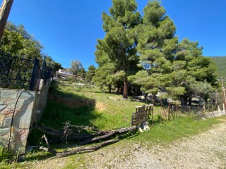 570τ.μ. Αγροτεμάχιο
