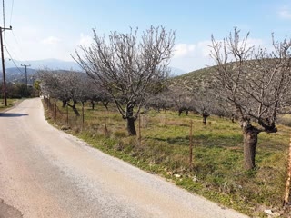 Αγροτεμάχιο 6400τ.μ.