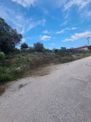 Οικόπεδο 250τ.μ.