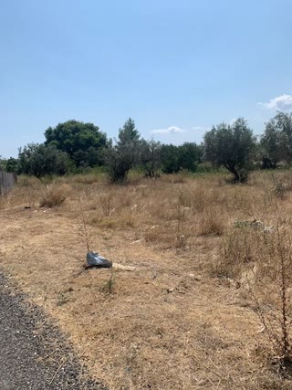 Αγροτεμάχιο 4050 τ.μ.