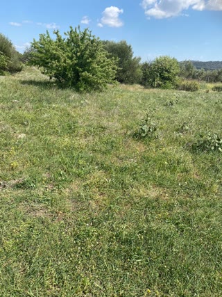 Αγροτεμάχιο 1374 τ.μ.