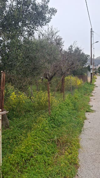 Οικόπεδο 655τ.μ.